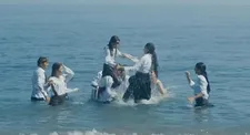 Mustangs in the sea: "Plus you see the sea from the window."